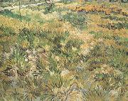 Vincent Van Gogh Meadow in the Garden of Saint-Paul Hospital (nn04) France oil painting artist